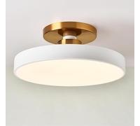 AWEITG Lámpara de techo ., lámpara de techo regulable, luces de techo redondas de hierro forjado de montaje semiempotrado, 11,8 pulgadas, adecuada for estudio, dormitorio, lavandería(White)