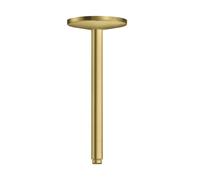 Axor One - Brazo de ducha de techo, 30 cm, latón cepillado 48495950