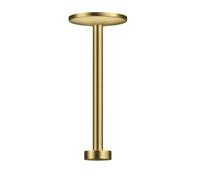 Axor One - Brazo de ducha de techo, 30 cm, latón cepillado 48496950