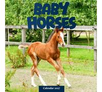 Baby Horses Calendar 2027: Foals and Farm Scenes