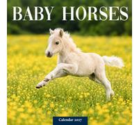 Baby Horses Calendar 2027: Foals and Pasture Scenes