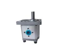 BADIKA Bomba hidráulica de Engranajes Bomba de Engranajes hidráulica CBN/CBT/CBW304 306 310 314 316 320 325 Pequeña Bomba de Aceite de Alta presión(CBN-F320(20MPA)-L,220V)