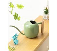 Baffect Regadera para interiores, 1.2L/1,162.3 g de acero inoxidable con mango suave, regadera de jardín de metal con boquilla larga para plantas y flores pequeñas (verde salvia)