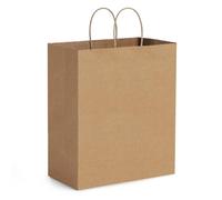 BagDream Bolsas de papel de 10 x 6 3/4 x 12 pulgadas, 50 bolsas de papel marrón con asas, bolsas de compras de papel kraft, bolsas de venta al por menor de mercancía, bolsas para llevar para