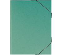Baier & Schneider Fact - Carpeta (cartón prensado) verde
