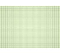 Baier & Schneider - Tarjetas (cartulina, 180 g/m², A6, horizontal, a rayas), color verde