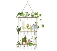 Bamworld Estación Propagación Plantas con 15 Tubos de Ensayo y Soporte Madera para Esquejes Hidrocultura Suculentas Accesorio Jardinería y Decoración Interior