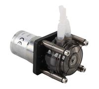 banapoy Bomba Peristáltica, Motor con Escobillas CC Bomba Dosificadora de Líquido de 300 Ml/min con Tubo de Silicona Transparente para Aplicaciones Industriales Laboratorio Acuarios (12V)