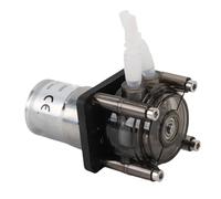 banapoy Bomba Peristáltica, Motor con Escobillas CC Bomba Dosificadora de Líquido de 300 Ml/min con Tubo de Silicona Transparente para Aplicaciones Industriales Laboratorio Acuarios (24V)