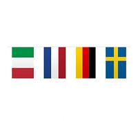 Bandera de Europa Guirnalda Para Temática Fiesta - 10 metros - Multicolor