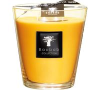 Baobab All Seasons Vela perfumada Zanzibar Spices 1100 g 1100 g