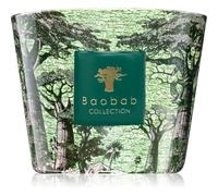 Baobab Collection Sacred Trees Touba vela perfumada 500 g