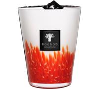 Baobab Feathers Vela perfumada Plumas Masaai 3000 g 3000 g