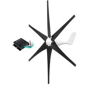 BAOJUHUIKANG Generador de Turbina Eólica Horizontal 12V-220V 5000W