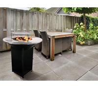 Pur Line Barbacoa EFP56B grande con plancha de acero y grill Negro