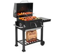 Barbacoa de carbón - Portátil - Barbacoa - Contenedor para cenizas - Termómetro - Plástico - Acero inoxidable -