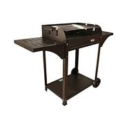 Barbacoa grande carbón rectangular 60x40 cm Chapa, barbacoa con laterales, ruedas y parilla 3 alturas