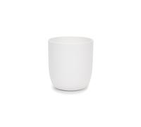 Base para Taza de Té Blanco