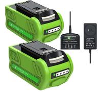 Batería de iones de litio, 40V, capacidad de 8000mAh, 2 baterías y 1 cargador