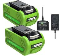 Batería recargable, con una capacidad de 8000 mAh, compatible con herramientas eléctricas de 40V. Incluye 2 baterías y 1 cargador