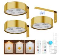 Bawoo Aplique Luz para Cuadros sin Cable, 13 RGB Luces LED Magnéticas Inalámbricas Recargables, 3PCS, 451LM, Doble Control Remoto/Modo Pulsador, Lámpara de Pared para Cuadros y Pinturas (Blanco)
