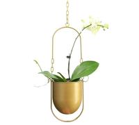 Beihaoer Maceta decorativa colgante, metal, cesta colgante boho, para techo, maceta colgante para plantas de interior, plantas carnosas, plantas de aire, cactus (dorado)