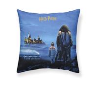 BELUM | Funda Cojín Harry Potter Tamaño: 50x50 - Modelo: Philosopher's Stone A - Tejido: Half Panama 100% algodón. 250 Grs.