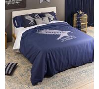 BELUM | Funda nórdica Harry Potter, Funda nórdica con Botones 100% algodón Modelo Ravenclaw Values para Cama de 120 (200X200 cm.)