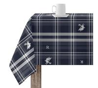 BELUM | Mantel 100x140 cm Harry Potter Mantel resinado (Tacto plastificado) Antimanchas Modelo Ravenclaw Cuadro