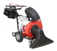 Benassi AF200SL -Aspirador de hojas de gasolina autopropulsado - Honda GX200