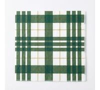 BESALILY Servilletas de papel a cuadros de 2 capas (16,5 x 16,5 cm plegadas, 33 x 33 cm desplegadas) para comedor, fiestas, picnics (verde-W)