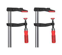 Bessey Juego de 2 abrazaderas de hierro fundido maleable TGA25SET-135 250 mm/120 mm