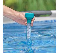 Bestway Termometro Flotante Piscina y Bañera 58072