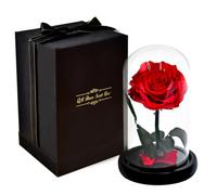 BETOOKY Caja de Obsequio Luminosa el Principito Flor Preservada Romántica y Cúpula de Cristal Roja para Decoración en Dormitorio y Aniversarios