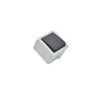 BF-17 - Doble conmutador exterior 10A - 230V IP54 - Gris - Fontini