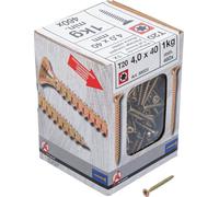 BGS Diy 88023 - Tornillos multiusos, perfil en T (para Torx) T20, 4,0 x 40 mm, 1 kg, 460 unidades