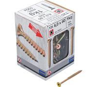 BGS Diy 88031 - Tornillos multiusos, perfil en T (para Torx) T25, 6,0 x 80 mm, 1 kg / 100 unidades