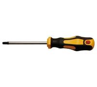 BGS DIY Destornillador Torx (Ref: 7844-T30)
