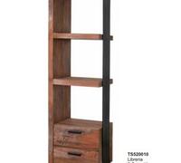 BIBLIOTECA TS520010 IDI
