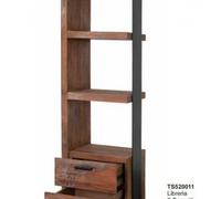 BIBLIOTECA TS520011 IDI