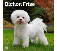 Bichon Frise 2026 Square Flap