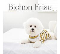 Bichon Frise Calendar 2027: Small Dog Portraits and Breed Scenes