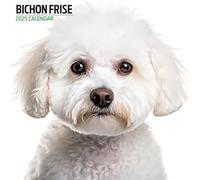 Bichon Frise - Calendario moderno 2025