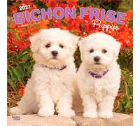 Bichon Frisé Puppies - Bichon Frisé Welpen 2027 - 16-Monatskalender: Original BrownTrout-Kalender [Mehrsprachig] [Kalender] (Bichon Frise Puppies | ... | BrownTrout | Animals Dog Breeds Puppy)