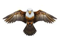 Bird Control Telescopic Bird Scarer Kite Bird Repeller for Garden Backyard Lawn Farm and Field only Kite (Brown-No Pole)