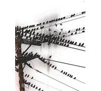 Birds on a Wire Composition Notebook 8.5"x11", 200 pages (100 sheets) of wide rule paper with blank label. Graphic Art - Birds on a Wire on front and back covers.