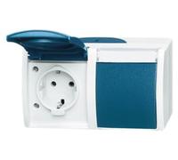 BJ APWG, enchufe Schuko para exteriores, doble, 20/2EWN-53, con campo para texto horizontal, color gris/azul-verde