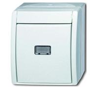 BJ APWG, sistema de iluminación para exteriores, modelo 2621WGL-54, color blanco alpino
