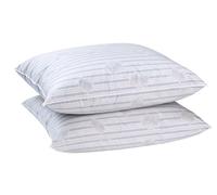 Blanrêve - Juego de 2 almohadas Antan - Naturales y ecológicas - Pluma - 60 x 60 cm - Fabricado en Francia