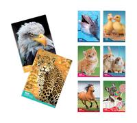 Blasetti - 6 Maxi cuadernos DIDÁCTICOS FANTASÍA One Color. Papel de 100gr, 72 páginas + guarda, Jolly Page, ideales para disgrafía, paquete con colores surtidos - Cuadrícula (10M)